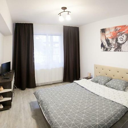 Apartament Elena Târgu-Mureş エクステリア 写真