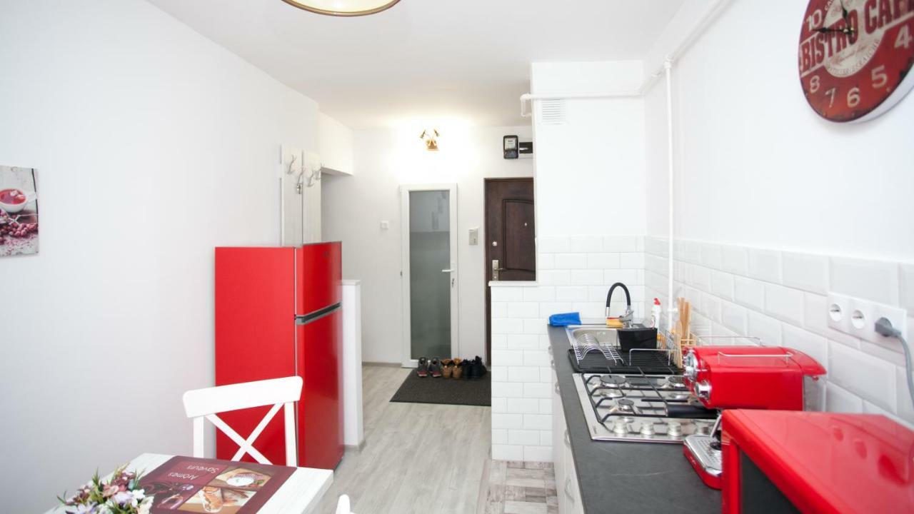 Apartament Elena Târgu-Mureş エクステリア 写真