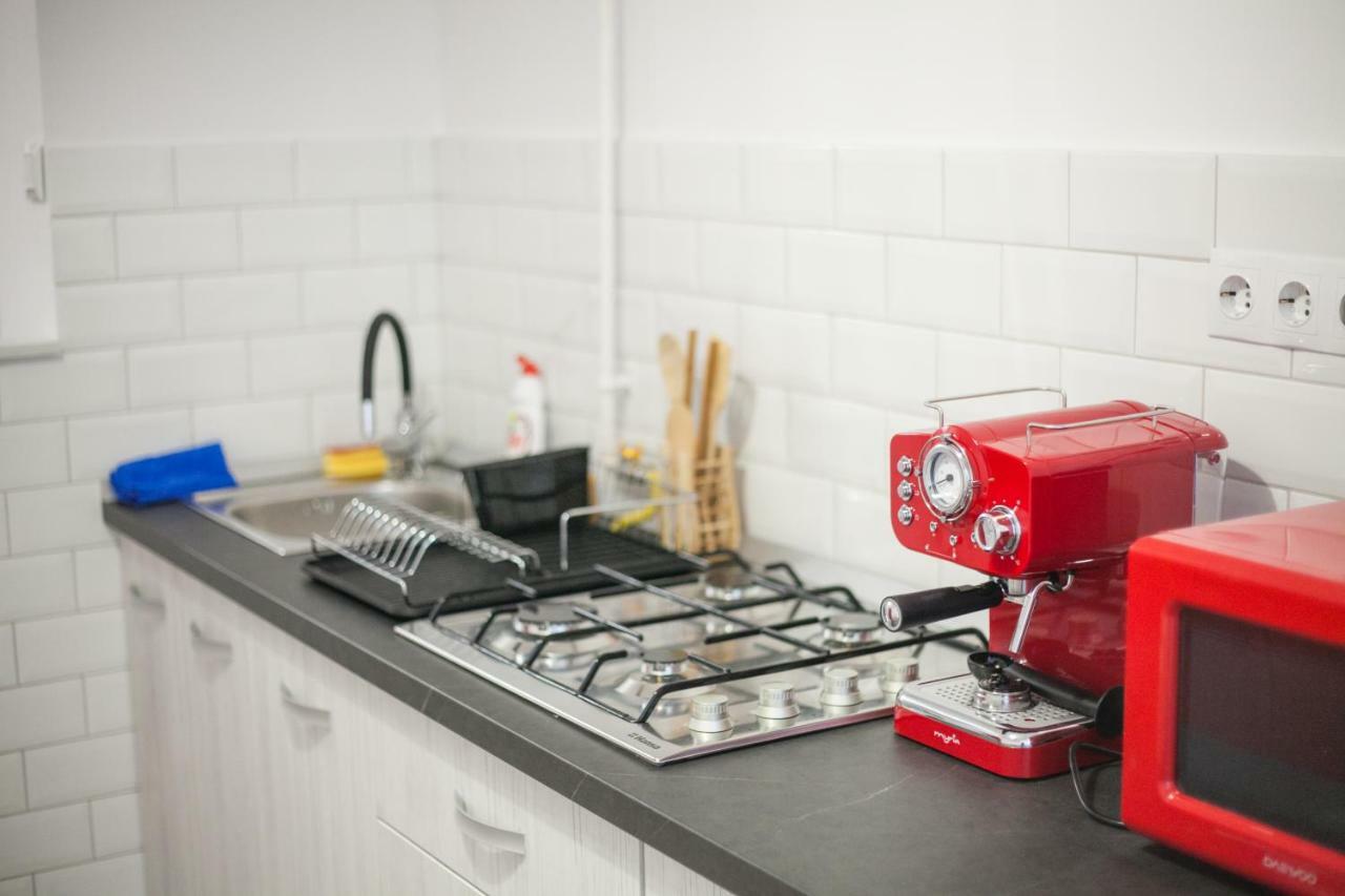 Apartament Elena Târgu-Mureş エクステリア 写真